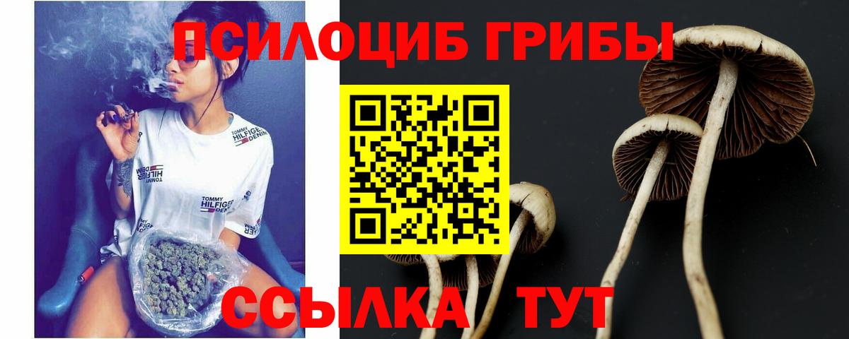 Галлюциногенные грибы мухоморы  продажа наркотиков  Лениногорск  Вход с VPN 